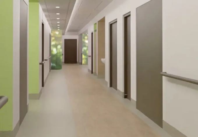 Skilled Nursing Facilities, VA